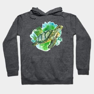 Sea Green turtle seaweed Hoodie